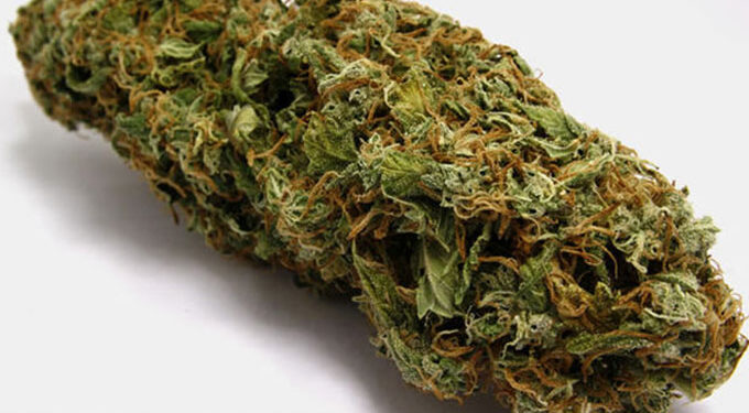 Bus driver nabbed for $4 million mbanje