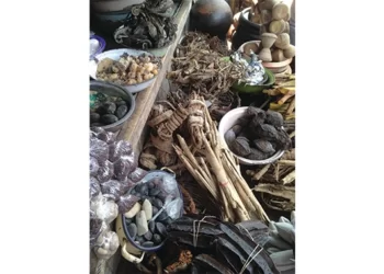 Month-end deadline for Traditional Medical Practitioners’ registration