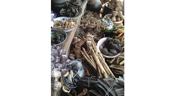 Month-end deadline for Traditional Medical Practitioners’ registration