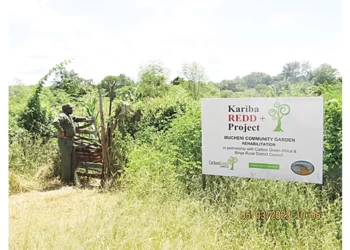 Windfall for communities… Fight against climate change pays dividends