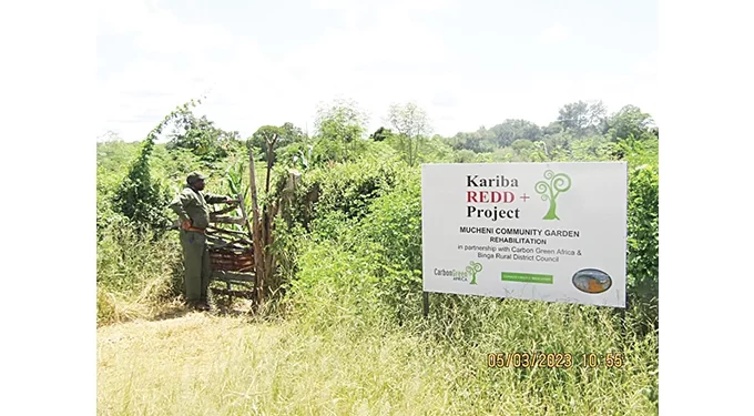 Windfall for communities… Fight against climate change pays dividends