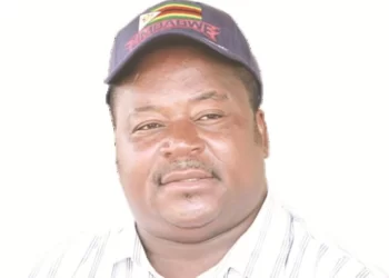 Langa pulls out of Insiza South primary poll re-run