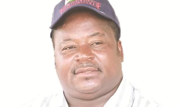 Langa pulls out of Insiza South primary poll re-run