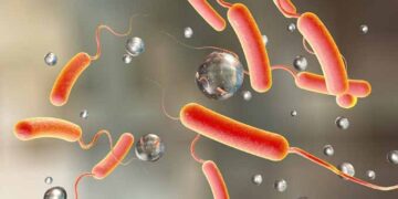 Cholera kills two people in Mvuma