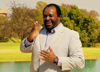 ZANU PF Primaries: A Show of Mature Internal Democracy