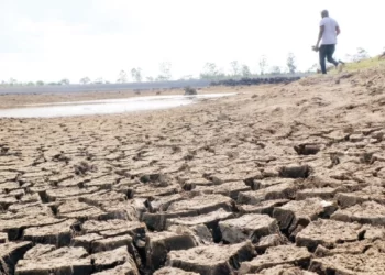 No more power cuts at water works. . . Load shedding reprieve for ZITF period