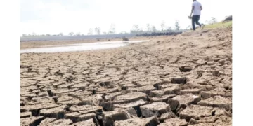 No more power cuts at water works. . . Load shedding reprieve for ZITF period