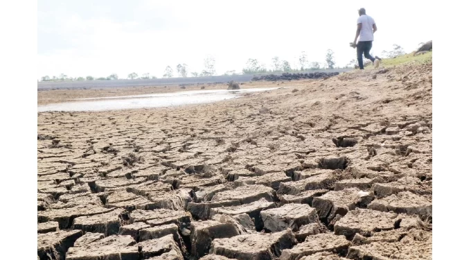 No more power cuts at water works. . . Load shedding reprieve for ZITF period