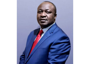 Willowvale rebounds, to start assembling vehicles