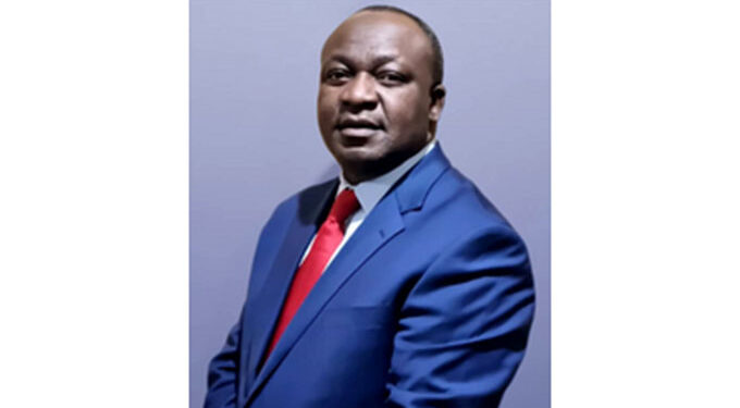 Willowvale rebounds, to start assembling vehicles