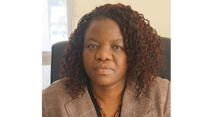 Govt takes ERRP2 publicity to ZITF