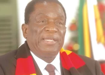 Peaceful primaries set right tone for free elections — President