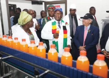 Infrastructure development opens Zim to the world