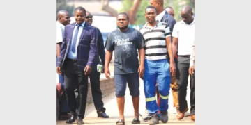 Koala armed robbery suspects arrested