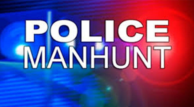 Mshika-shika robbers on the prowl