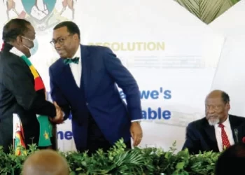 Debt clearance: Zim makes headway