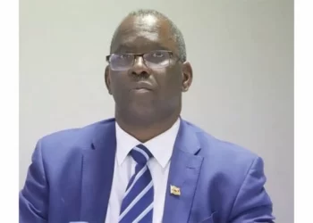 Zim Education 5.0 model inspires African peers