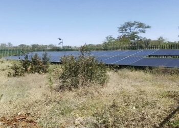 Another milestone for Vungu