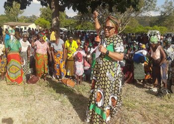 ‘Mobilise huge numbers for ZANU PF’