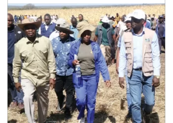 Phaphamani Irrigation success story