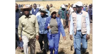 Phaphamani Irrigation success story