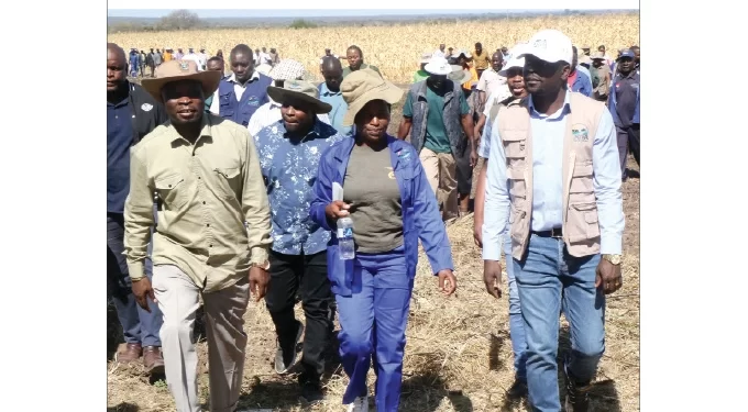 Phaphamani Irrigation success story