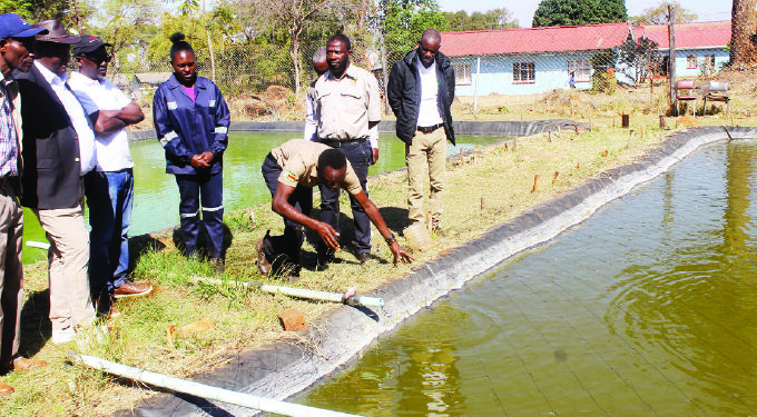Zim achieves highest winter wheat hectarage
