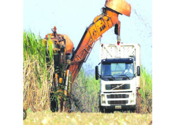 Govt issues Hippo Valley five 99-year leases