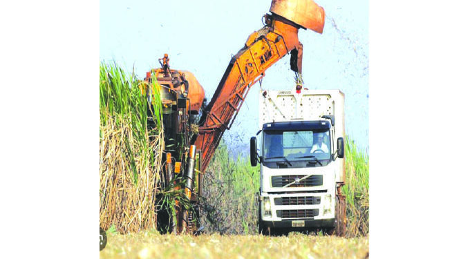 Govt issues Hippo Valley five 99-year leases