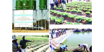 President fulfils pledge to Jinjika community