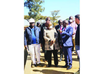 Pomona waste project takes shape