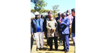 Pomona waste project takes shape