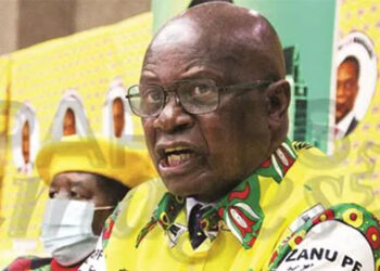 Zanu PF raises red flag on ZEC deadline