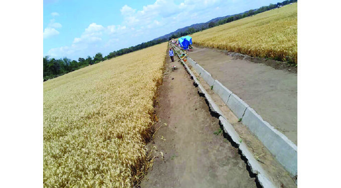 Beitbridge celebrates irrigation revival