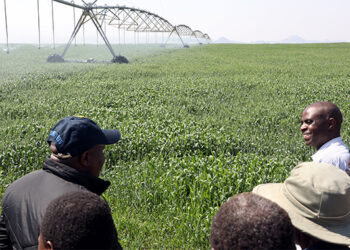Irrigation investments cushion Zimbabwe