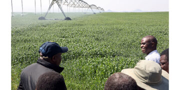 Irrigation investments cushion Zimbabwe