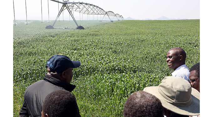 Irrigation investments cushion Zimbabwe