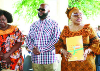 8 safe spaces set up for GBV survivors