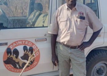 Zimbabwean wildlife ranger wins prestigious global award