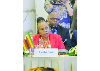 Minister promotes empowerment drive at NAM indaba