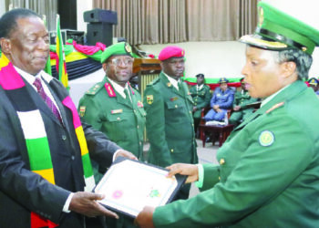 ZDF hailed for shielding nation against foes
