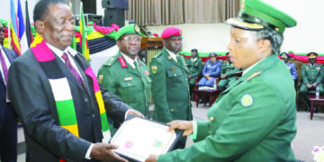 ZDF hailed for shielding nation against foes