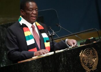Africa backs Zimbabwe’s Security Council bid
