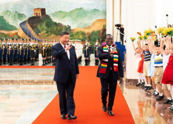Sino-Zim: Turning the ironclad pact into dollars